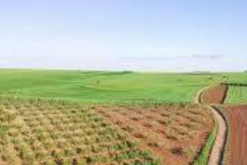 Attività_di pubblicizzazione degli elenchi delle particelle oggetto di variazioni colturali